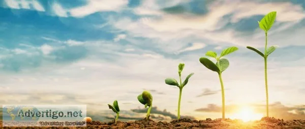 Know about the best motivational coach