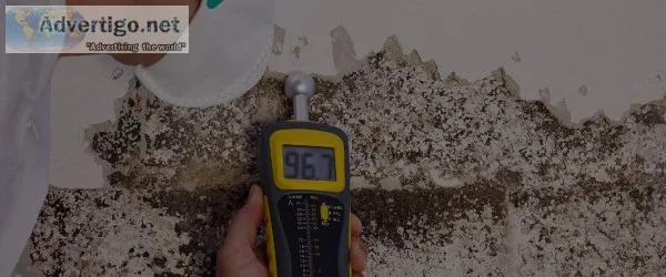 Reliable and Certified Mold Inspector Minot