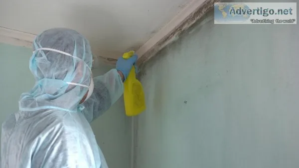 Emergency Mold Inspector in Minot