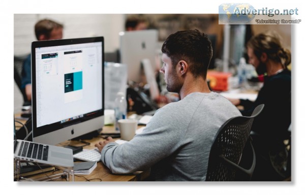 Hire Dedicated Web Designer