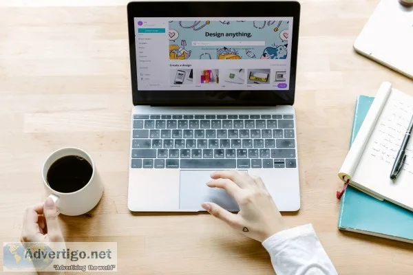 Build wordpress website with janbask digital design