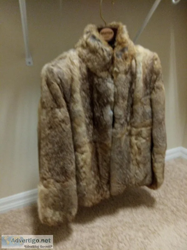 Rabbit coat