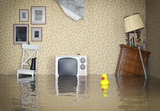 Professional Water Damage Restoration Service in Irvine Ca