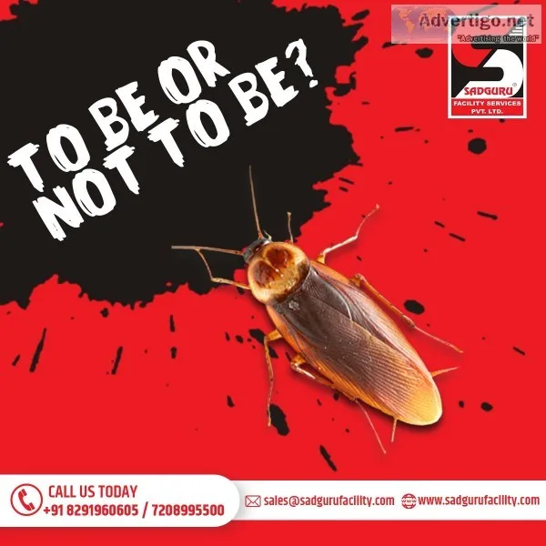 Pest Control Services in Dadar by Sadguru Pest Control