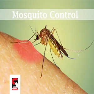 Pest Control Services in Andheri by Sadguru Pest Control