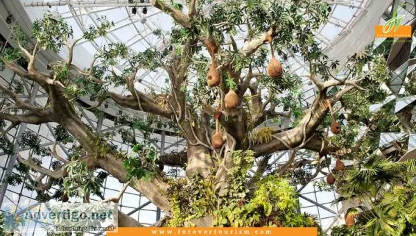 Green planet dubai ? weekend kid friendly green park in dubai | 