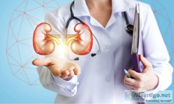 Get best treatment of kidney diseases by best nephrologist in no