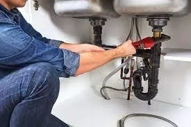 Hire The Licensed Plumber In Fredericksburg