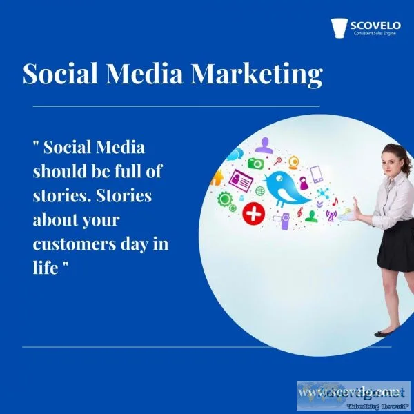 Social media management agency - scovelo consulting