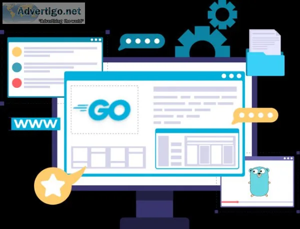 Hire our specialized golang developer