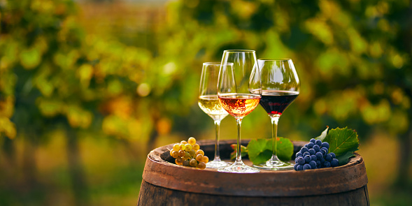 Experience wine magic with our specially made fine wines
