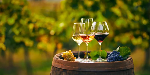 Experience wine magic with our specially made fine wines