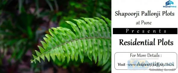 Shapoorji Pallonji Plots Pune - Live Your Dreams In The Lap Of N