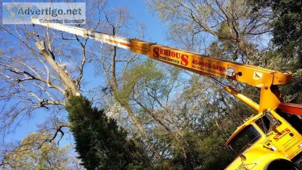 Tree Cutting Service Hudson Valley