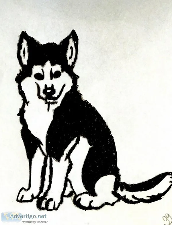 Black and White Husky Mix GG - 8.5&quot x 11&quot Art Ink