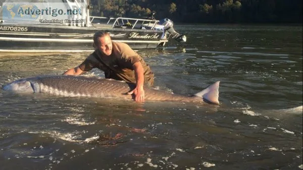 Sturgeon fishing Chilliwack from Kilby Lodge