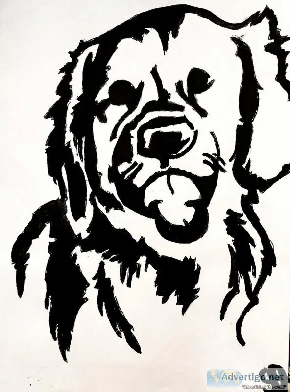 Black and White Golden Retriever 2 GG &ndash 8&Prime x 11&Prime 