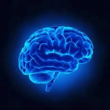 Boost and improve your mind by using bran reimagined