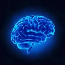 Boost and improve your mind by using bran reimagined