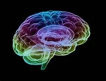 Boost and improve your mind by using bran reimagined