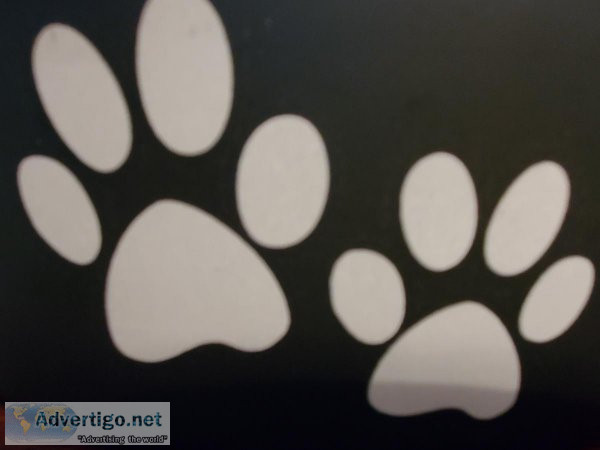 In-Home Pet services