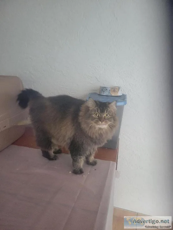 Her name is Esmae