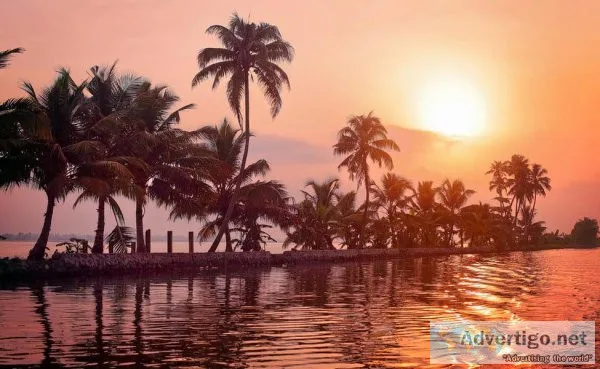 Munnar 3 Nights 4 Days Package