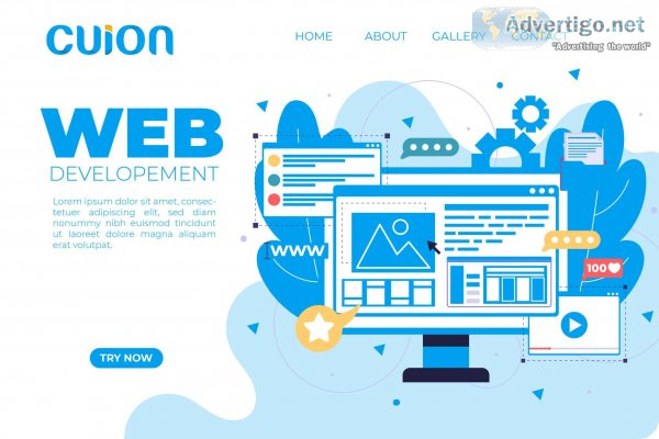 Website design, website development, digital marketing