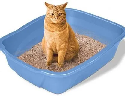 Organic Cat Litter