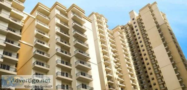 Luxury apartments in noida extension