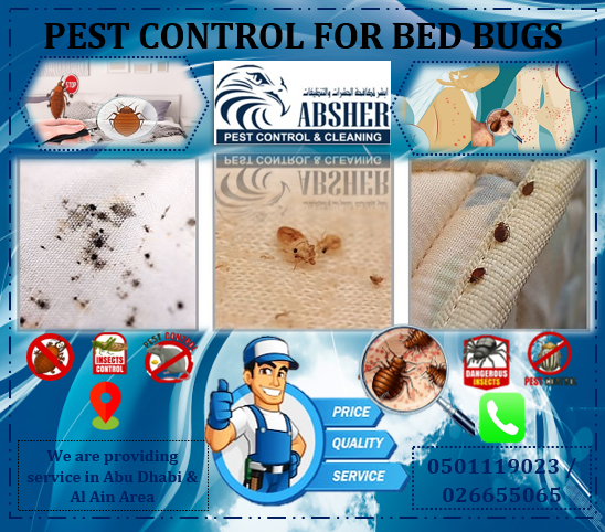 Bed bug problem? affordable pest control services now available