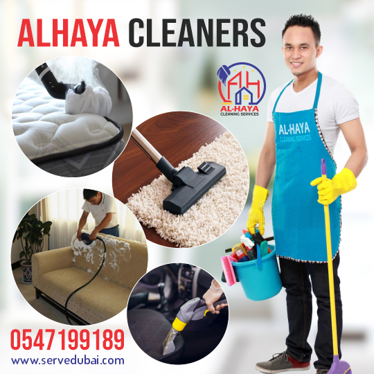 Sofa, carpet, mattress, building cleaning and sanitizaiton