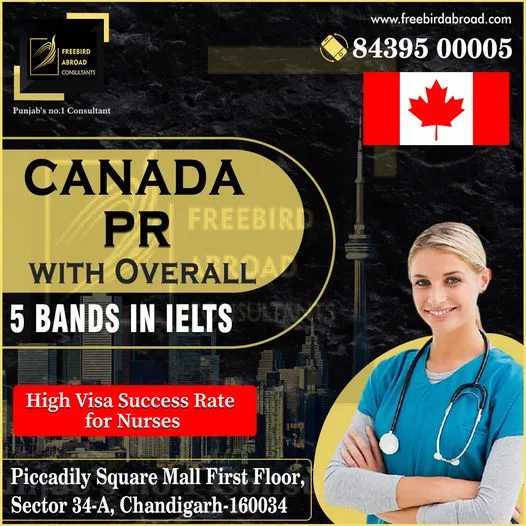 Fast visa consultant in chandigarh - freebirdabroad