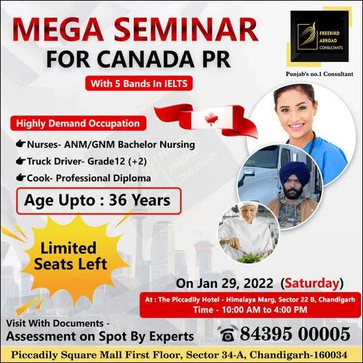 Fast visa consultant in chandigarh - freebirdabroad