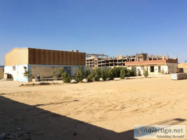 Dairy factory for sale | beni suef city egypt | us$385, 000