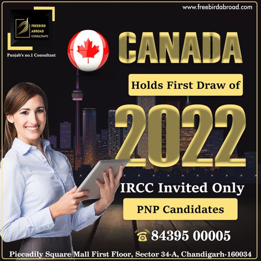 Fast visa consultant in chandigarh - freebirdabroad