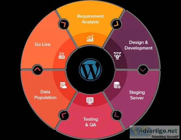 Wordpress Developers India Creating Effective Websites for your 