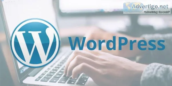 Leading WordPress Development Company India