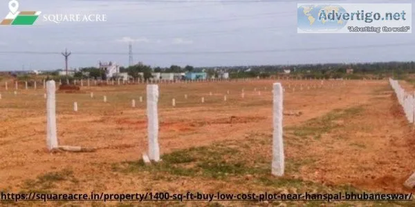 Buy Plot  At A Good And Cheap Price In  Hanspal Bhubaneswar (91-