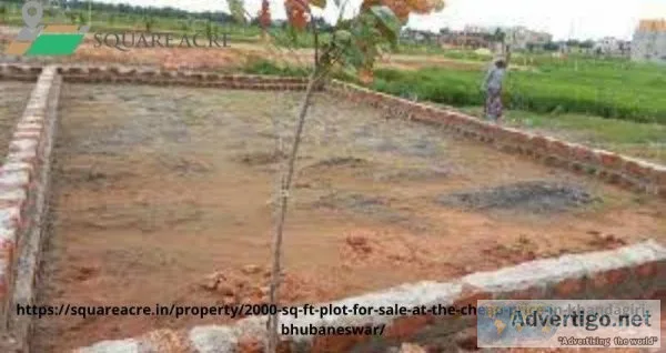 2000 Sq. Ft-Plot For Sale At The Cheap Price In Khandagiri Bhuba