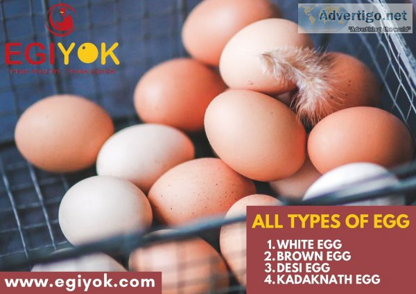 Tomorrow egg rate