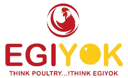 Tomorrow egg rate