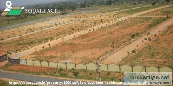 Buy plot at the best price in  Chintamaniswar Bhubaneswar (91-72