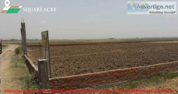 Land for Sale In  Chintamaniswar Bhubaneswar (91-720-564-8119)
