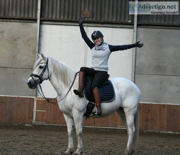 Nitia is a baroque mare with long manes and a beautiful small he