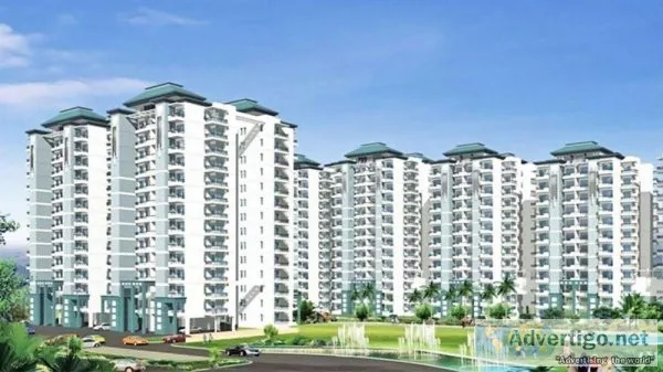 3 bhk flats in gurgaon for sale