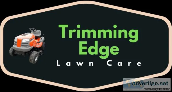 Spring Clean-Up and Mowing Service