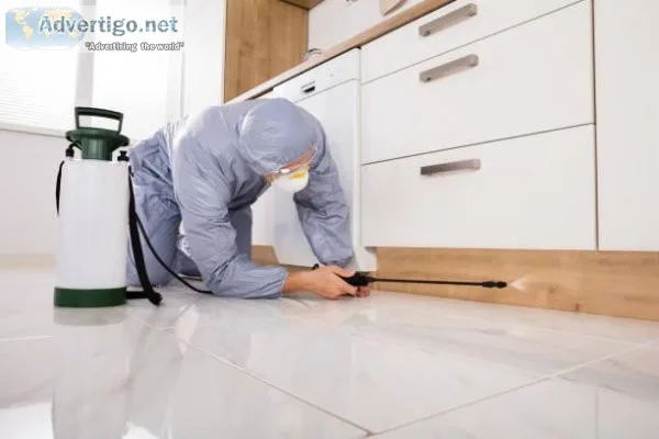 Commercial pest control in Gurgaon