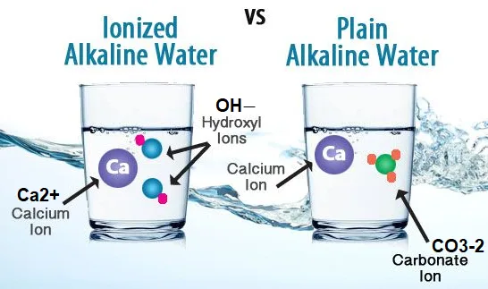 Hydrogen water generator