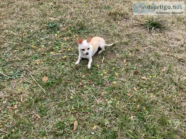 Free to good home